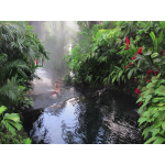 Costa Rica 2022: Nature lovers